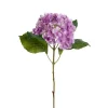 Hortensia Kvist Lilla H40