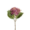 Hortensia Lys Lilla H40