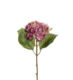 Hortensia Lys Lilla H40