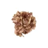 Hortensia Med Klype Beige