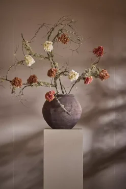 Hortensia Med Klype Beige