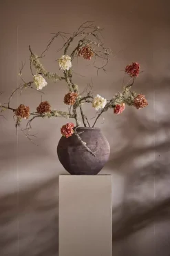 Hortensia Med Klype Krem
