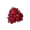 Hortensia Med Klype Rød
