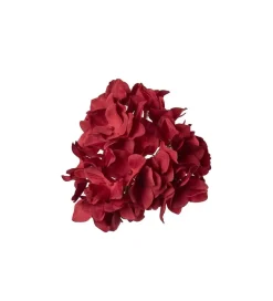 Hortensia Med Klype Rød