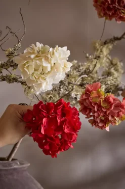 Hortensia Med Klype Rosa