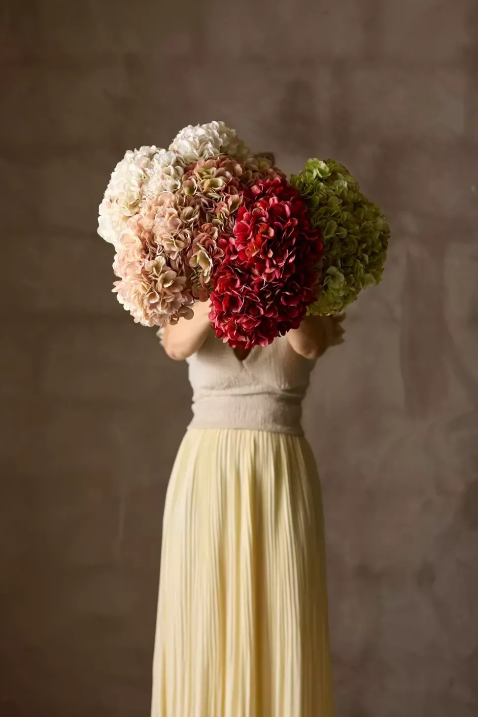 Hortensia Rød H48