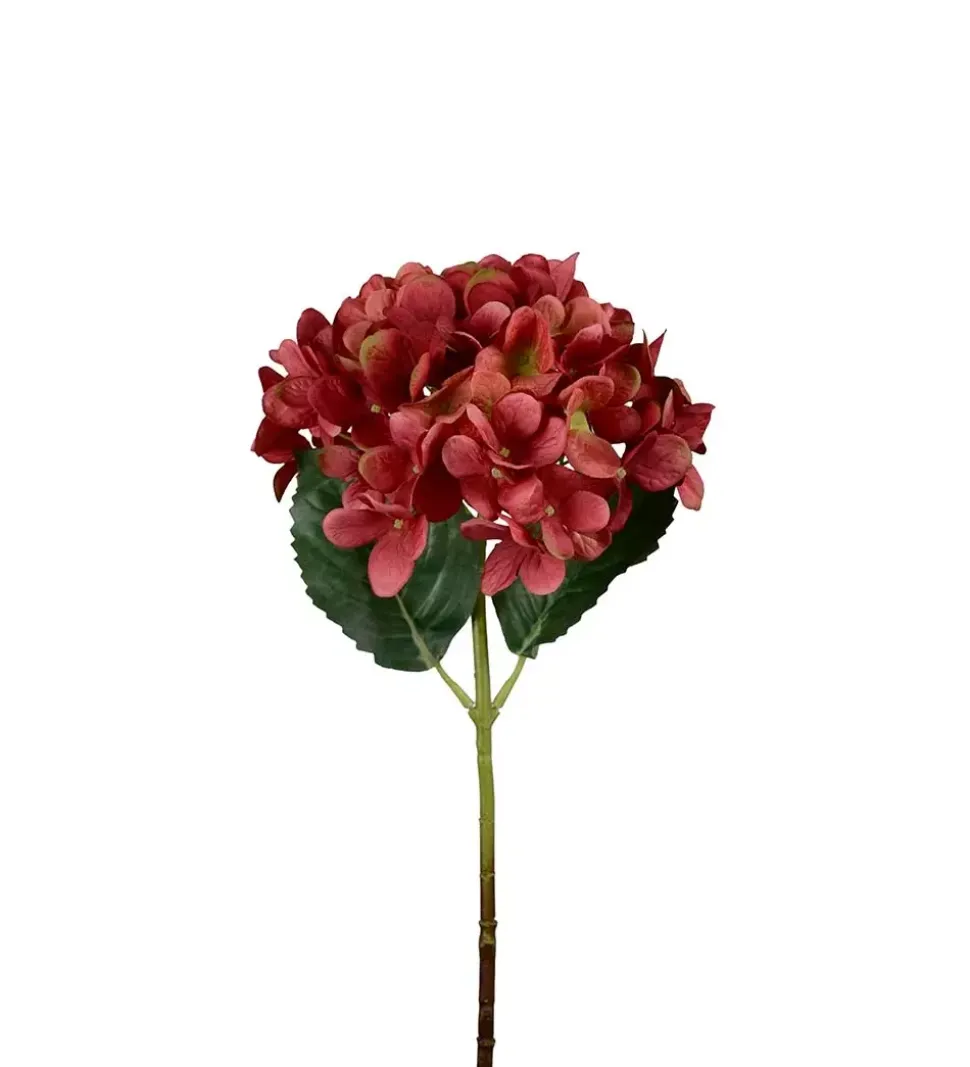 Hortensia Rød H48