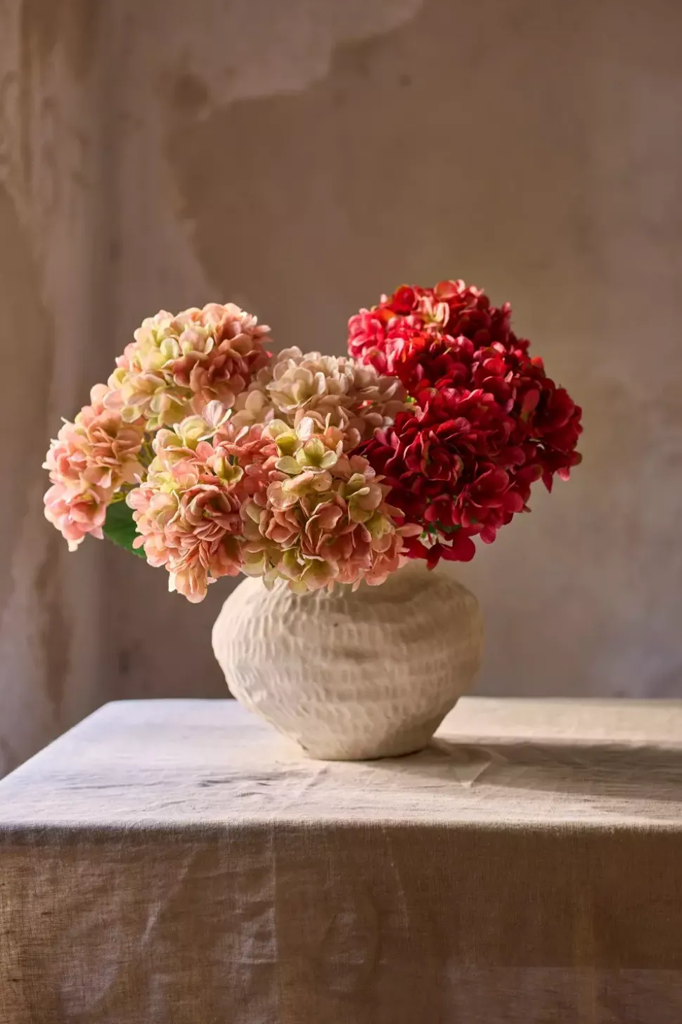 Hortensia Rød H48