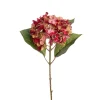 Hortensia Rød H40