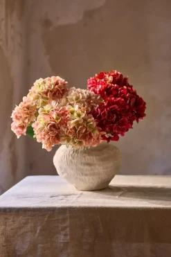 Hortensia Rosa H48