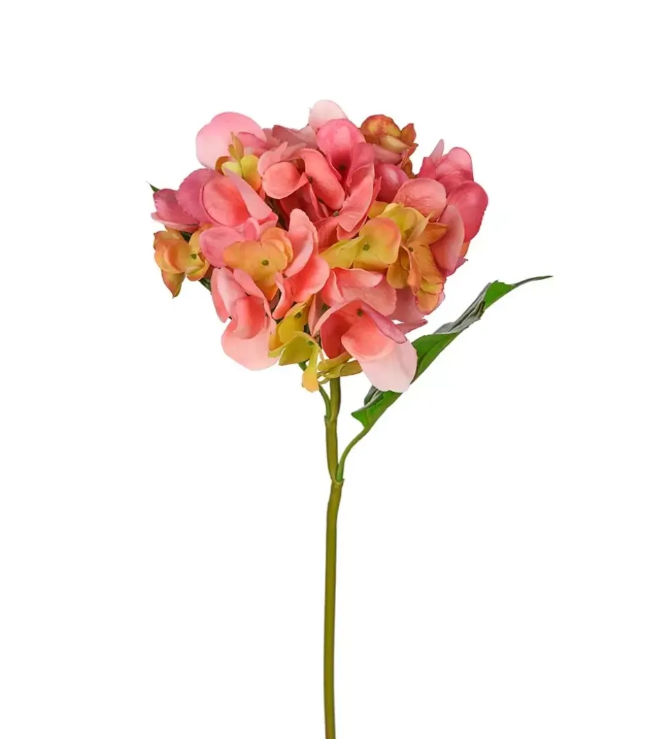 Hortensia Rosa H55cm