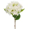 Hortensia Stilk Hvit