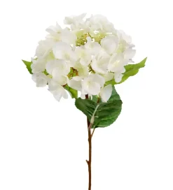 Hortensia Stilk Hvit