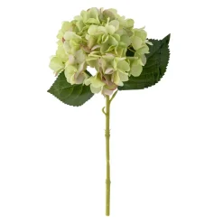 Hortensia Stilk Hvit H36