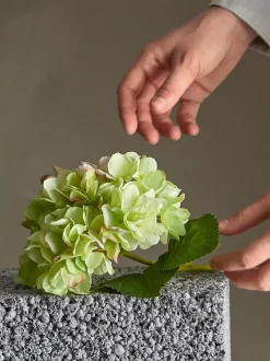 Hortensia Stilk Hvit H36