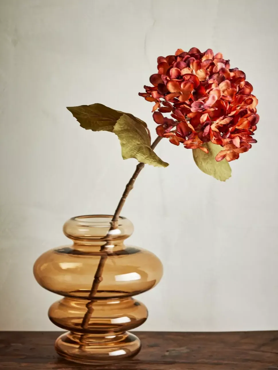 Hortensia Stilk Oransje