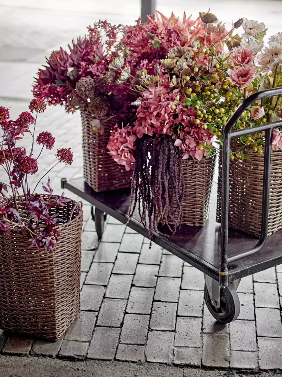 Hortensia Stilk Oransje