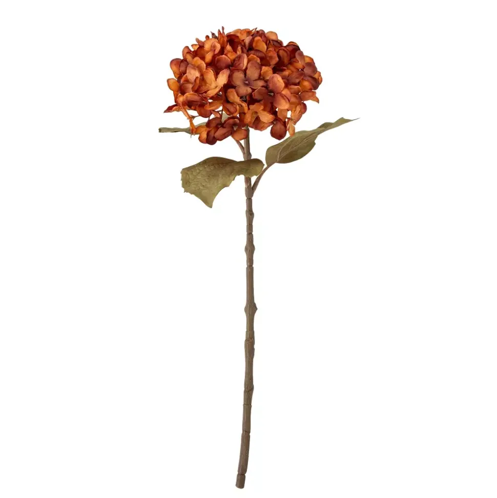 Hortensia Stilk Oransje