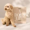 Hundealbum - A Dog's Life