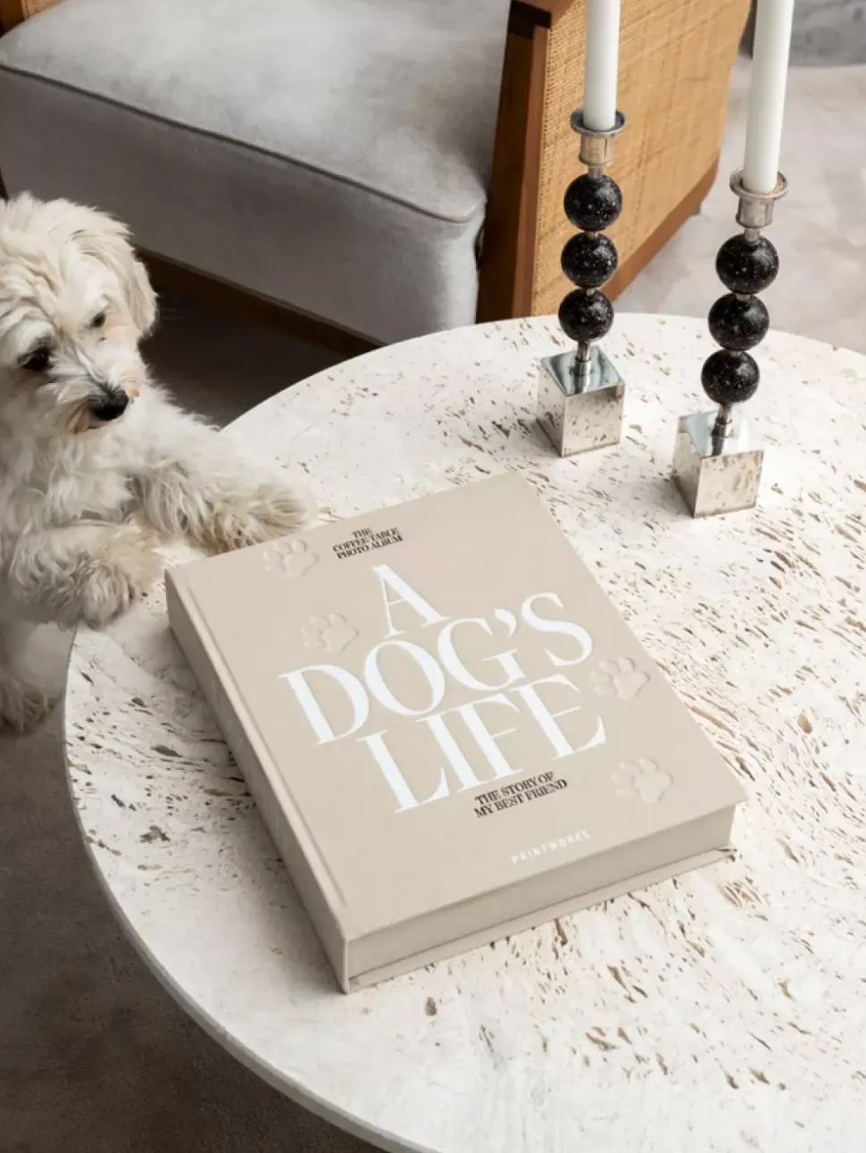Hundealbum - A Dog's Life