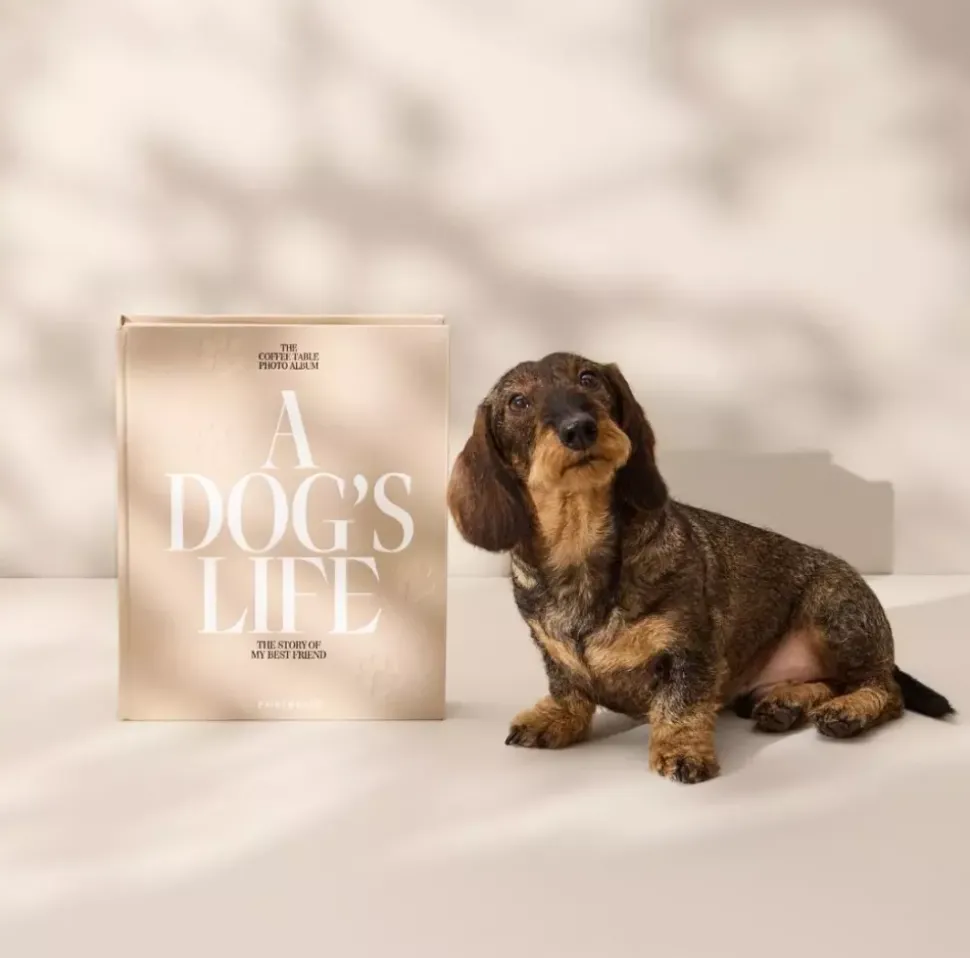 Hundealbum - A Dog's Life