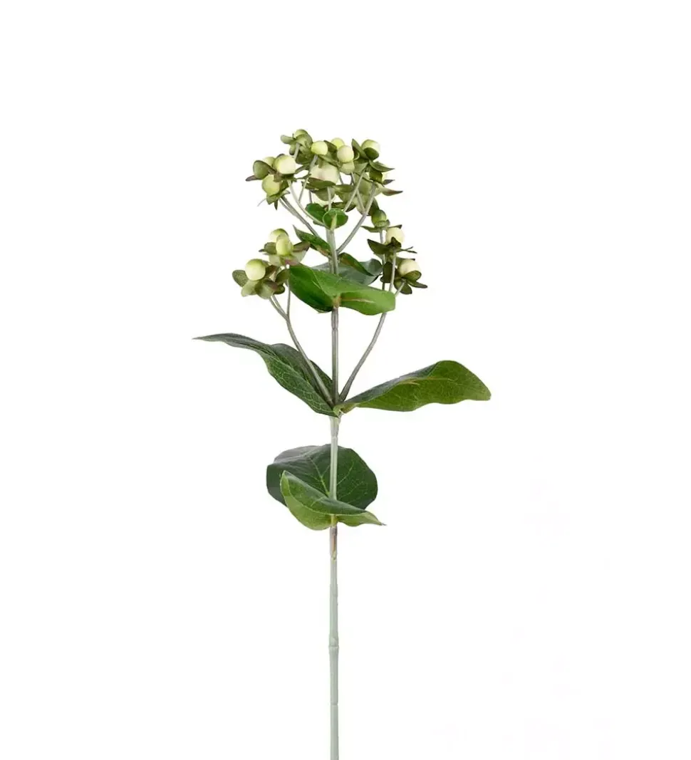 Hypericum Krem H68