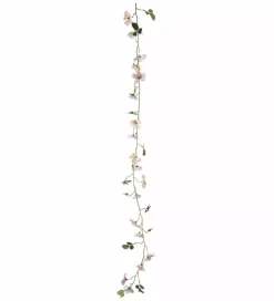 Japansk Klatrerose Girlander Rosa