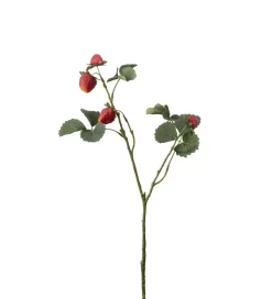 Jordbærgren H50