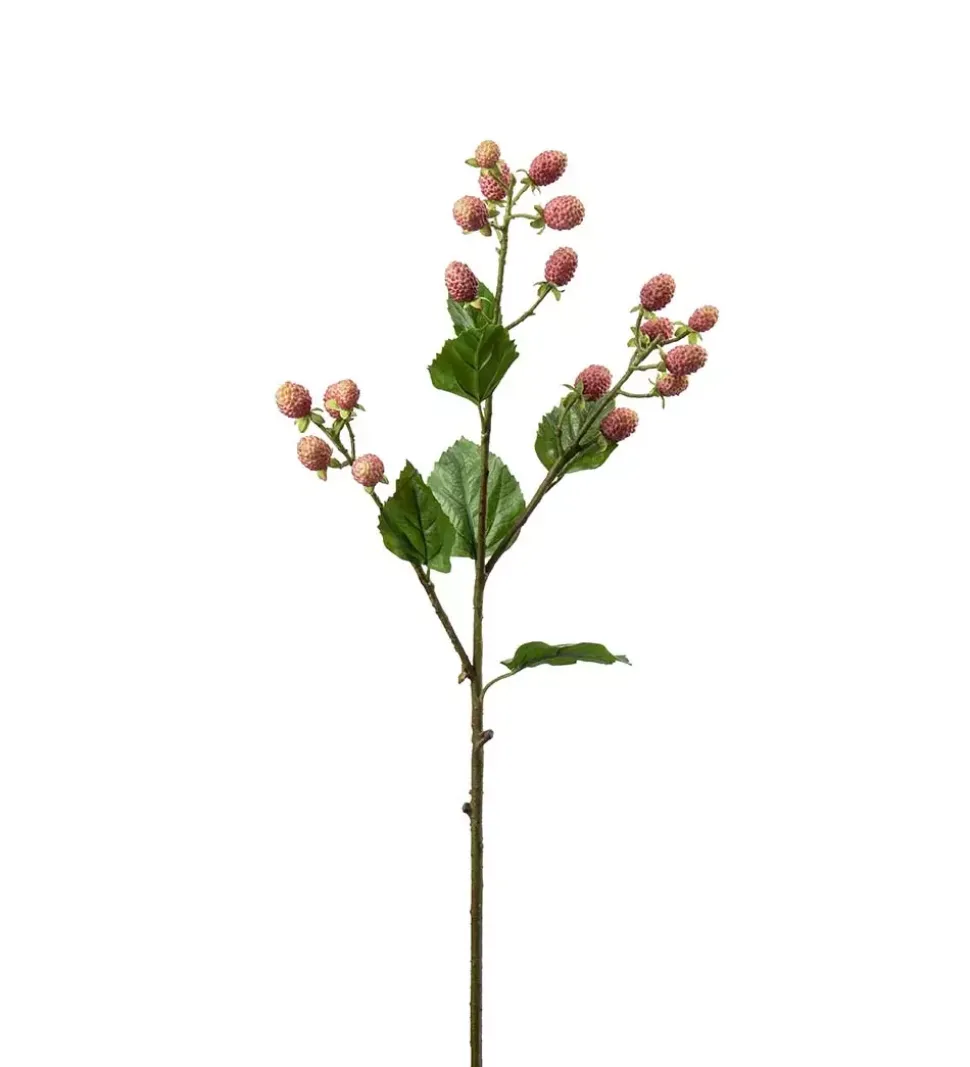 Jordbærkvist Rosa H65