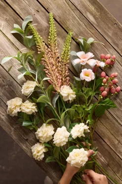 Jordbærkvist Rosa H65