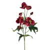 Julerose Rød H55