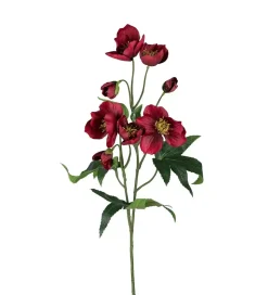 Julerose Rød H55