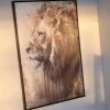 King Bilde 80x120