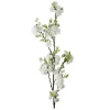 Kirsebærblomst Hvit H120