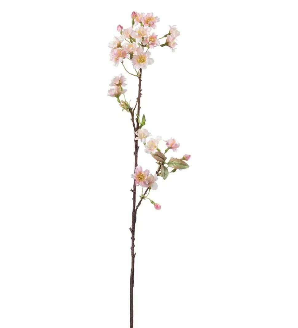 Kirsebærblomst Lyserosa H60