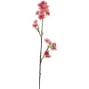 Kirsebærblomst Rosa H 60