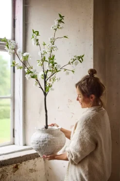 Kirsebærblomsttre Hvit H120