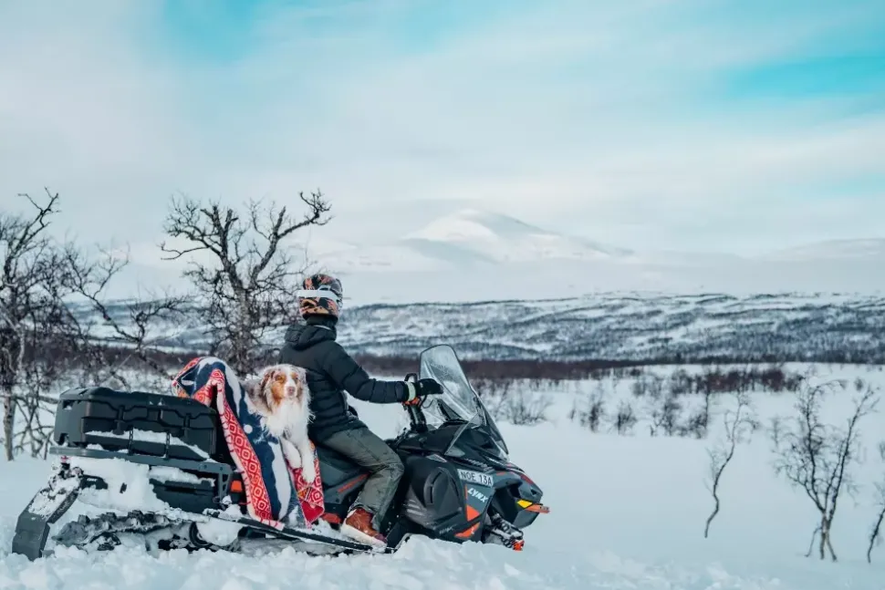 Klippan - Sarek Pledd