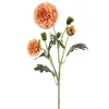 Krysantemum Korall H52