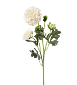 Krysantemum Krem H52