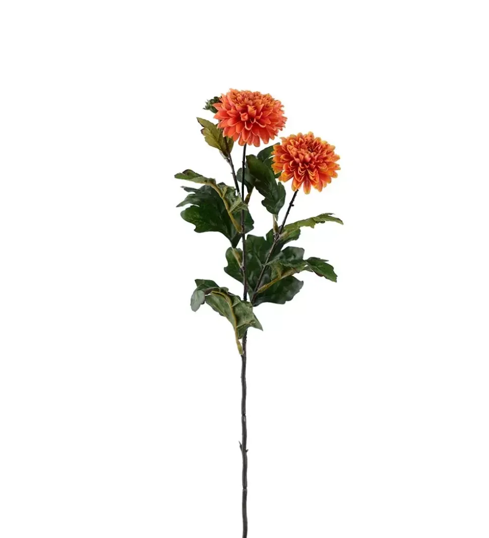 Krysantemum Oransje H53