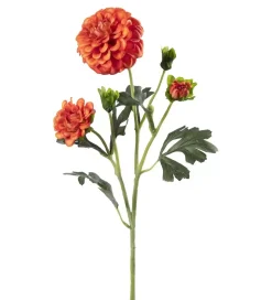 Krysantemum Oransj H52