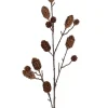 Kvist H100