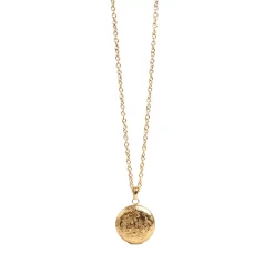 Langt Kjede Med Locket, Steel G