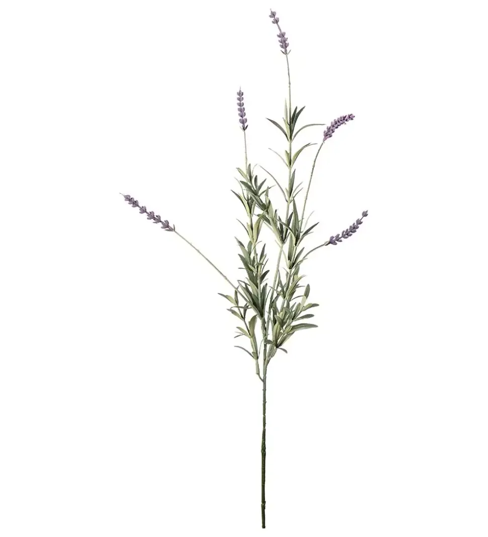 Lavendelkvist H65