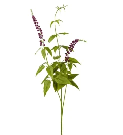 Lavendel Lilla 70cm