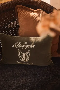 Lexington Boston Club Pute I Bomullsfløyel 50x30
