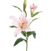 Lilje Lys Rosa H70