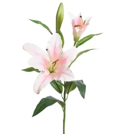 Lilje Lys Rosa H70