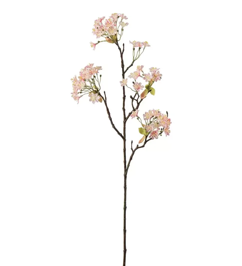 Lønnblomst Rosa H70